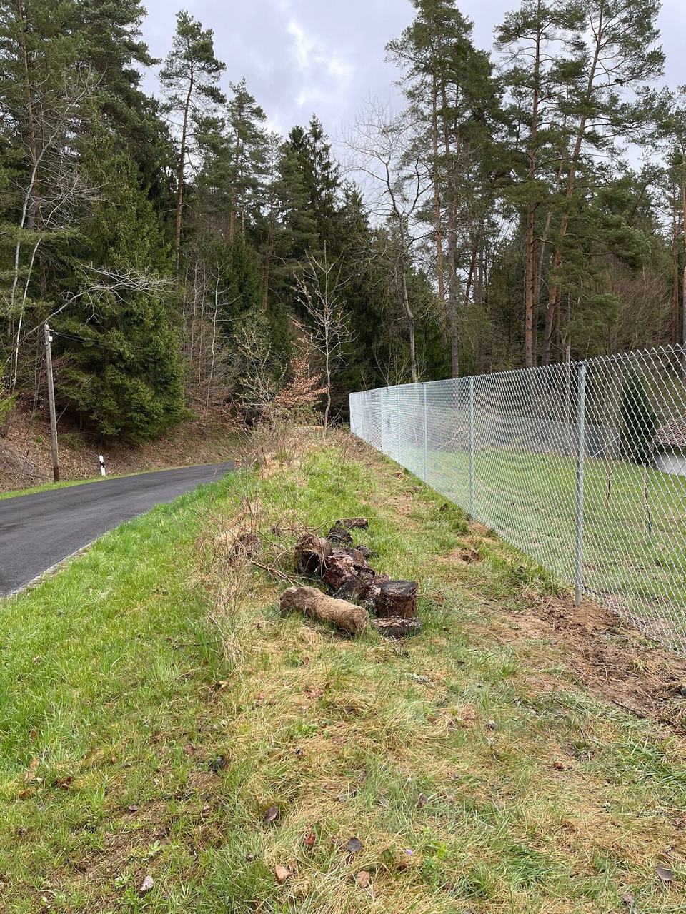Maschendrahtzaun im Wald am Grundstücksrand